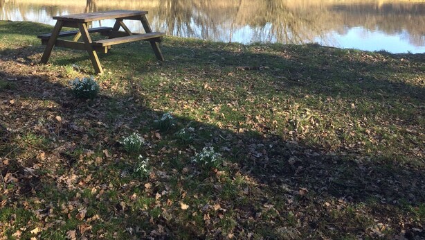 A picnic table by a calm lake with trees in the background. - Pond Cottage, Carmichael Country Cottages. Pets welcome. (Biggar)
