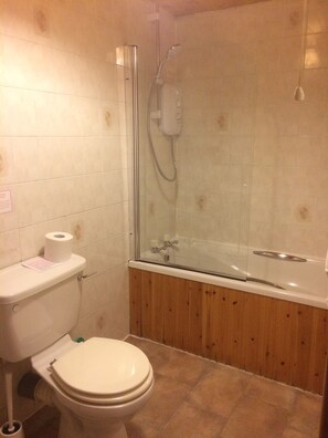 Combined shower/tub, hair dryer, towels