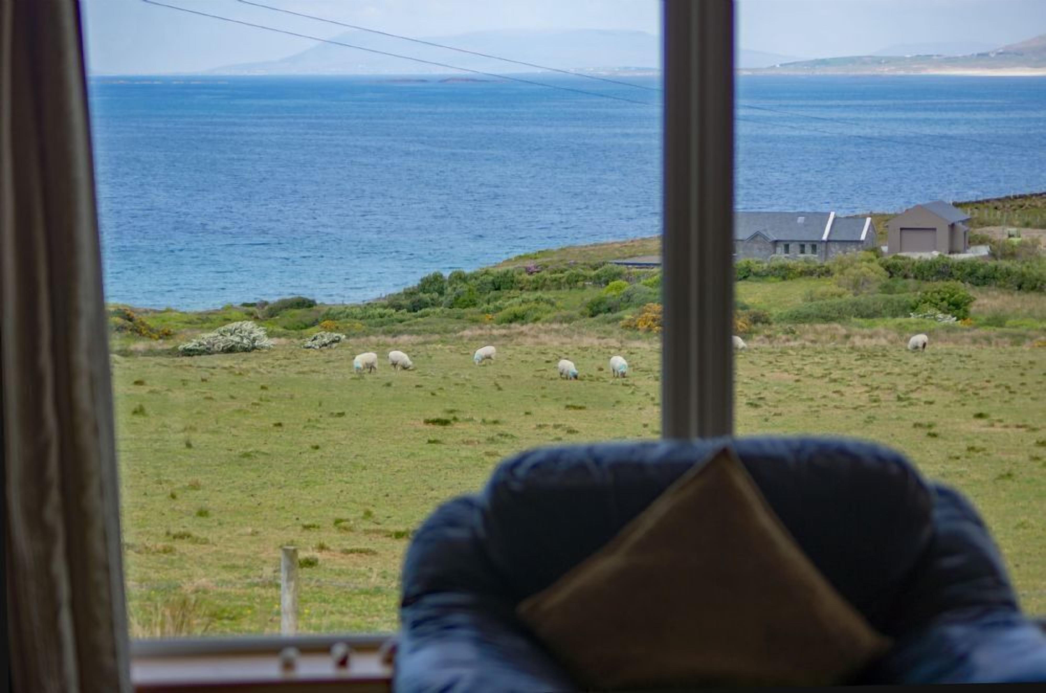 A view from a window overlooking a grassy field with sheep and a house in the distance.