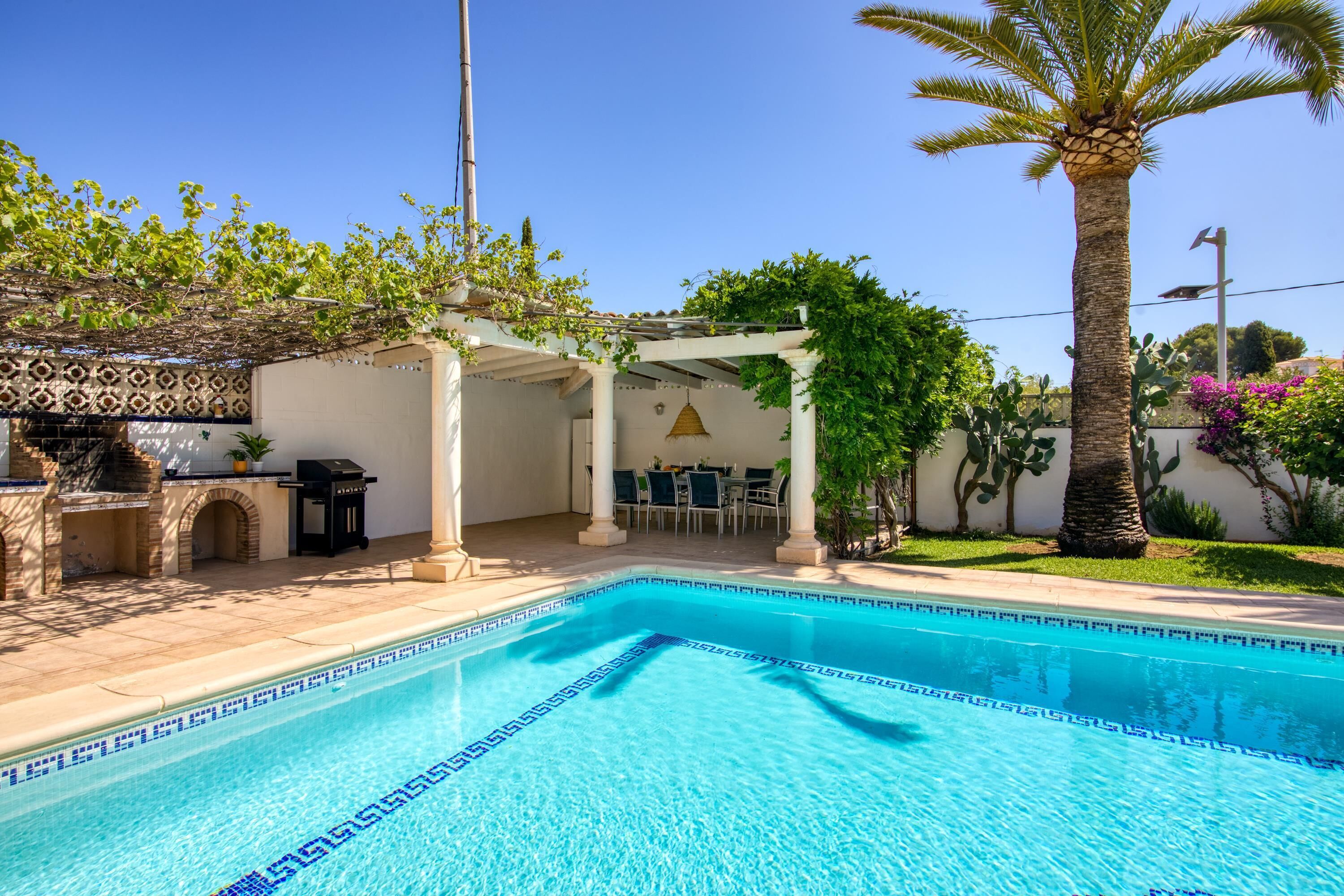 A swimming pool with a tiled edge, a pergola with climbing plants, a palm tree, and a patio area with outdoor furniture.