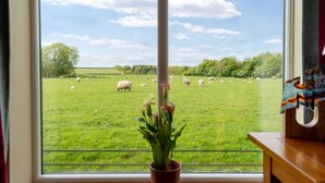A view of a green field with sheep grazing, seen through a window with a potted plant in the foreground. - Cart House 2 bedrooms - sleeps 4-5 guests  in 2 bedrooms (Beverley)