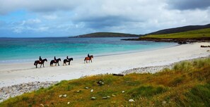 Une plage avec des chevaux et des cavaliers, une côte rocheuse et une colline au loin.