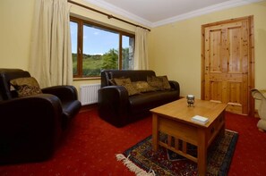 Een televisie en een open haard