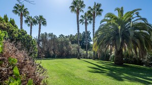 A well-maintained grassy area with tall palm trees and dense shrubbery. - Hoyo I - Isla Canela Golf GHHI15B2P65 (Isla Canela)