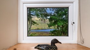 A wooden floor with a decorative duck sculpture in front of a window. - Cottage 194 - Leenane - sleeps 4 guests  in 2 bedrooms (Leenane)