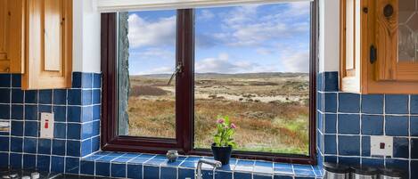A kitchen with a window view of a grassy landscape, a sink, and a potted plant on the windowsill.