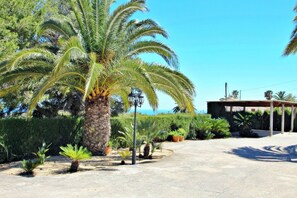 A paved driveway leading to a covered outdoor area with a palm tree and various potted plants. - Finca Coello - charming, Spanish finca style holiday villa in Benissa (Benissa)