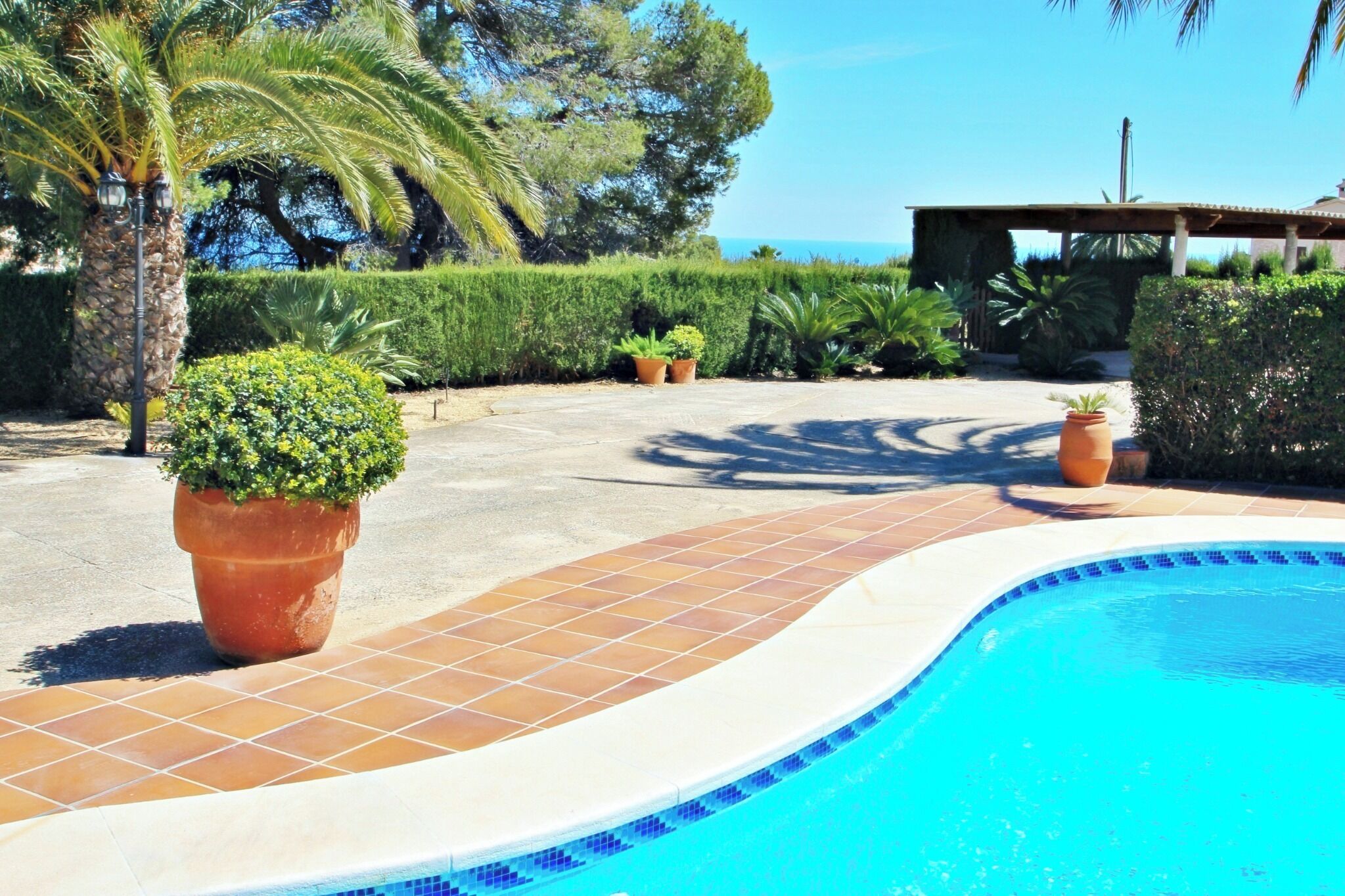 A swimming pool with tiled edges, surrounded by potted plants and palm trees.