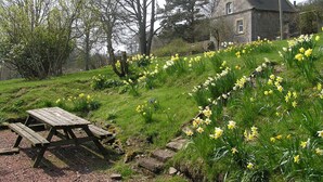 Una casa de piedra con techo inclinado, una mesa de picnic de madera y un jardín con narcisos amarillos.