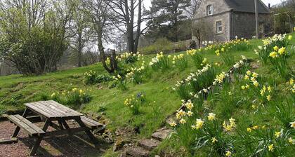 West Twin, Carmichael Country Cottages. Ideal family cottage close to deer park. Pets welcome.