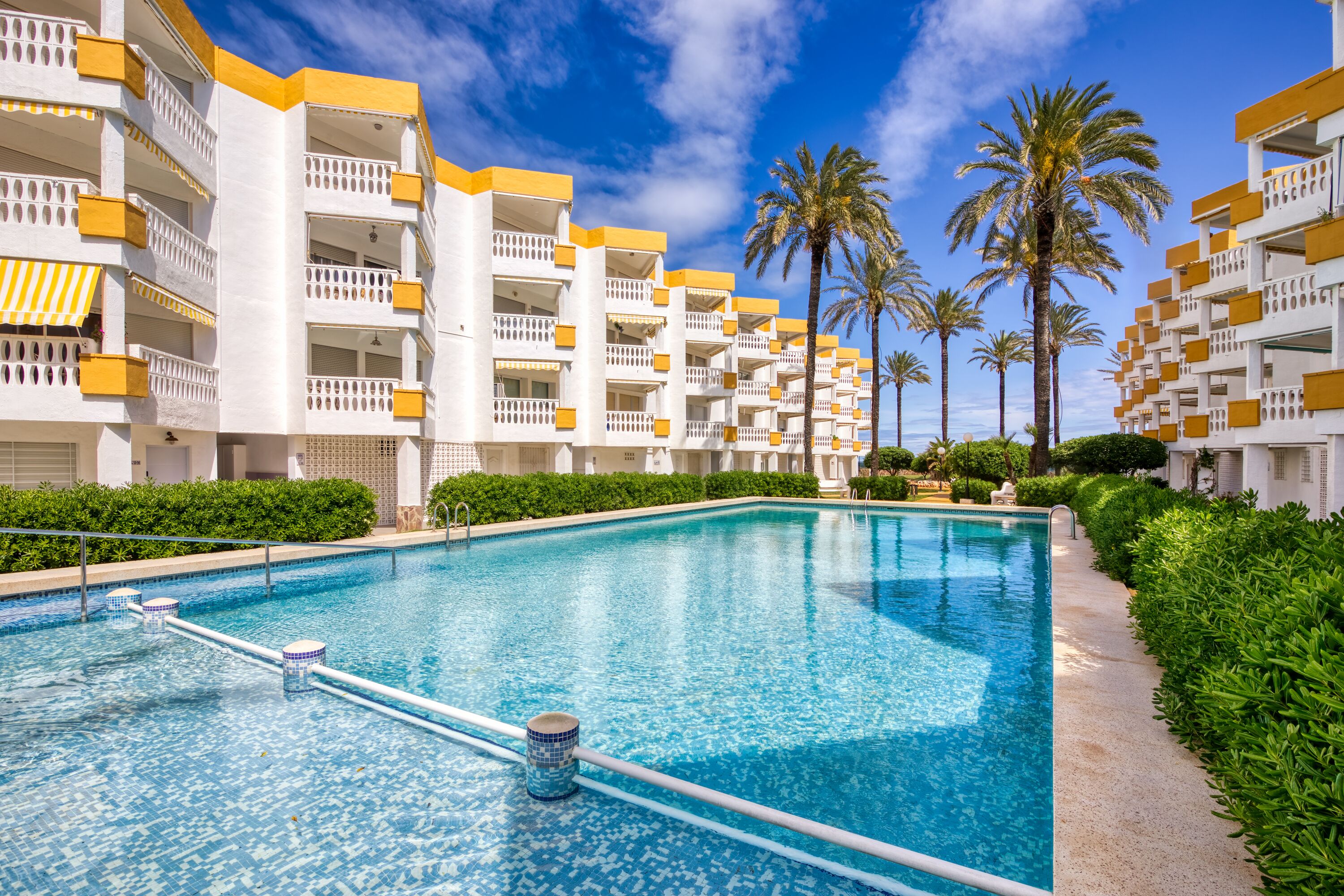 Una piscina rodeada de edificios de varios pisos con balcones, palmeras y abundante vegetación.