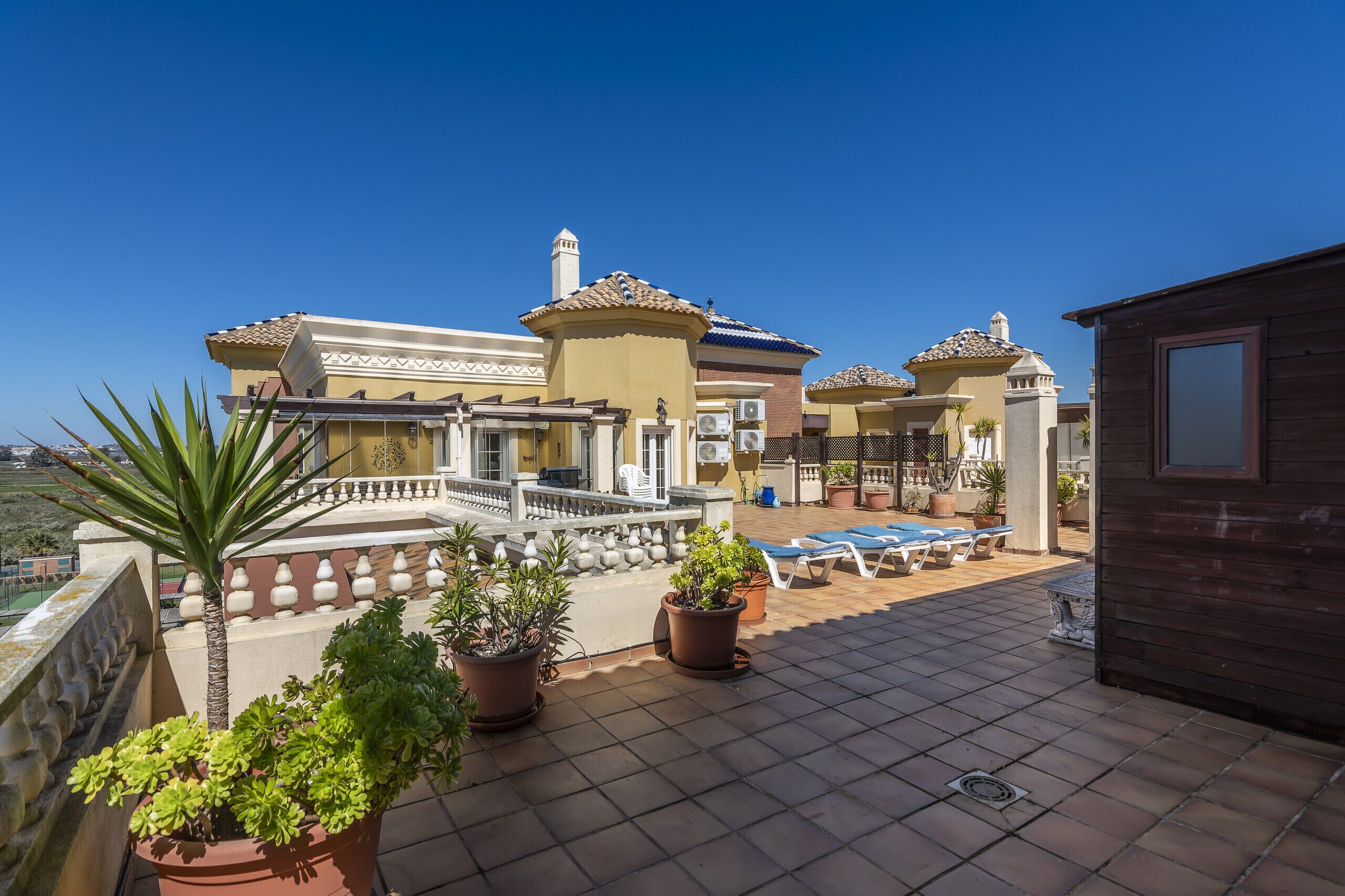 Terraço no telhado com plantas em vasos, área de piscina e estrutura de madeira.