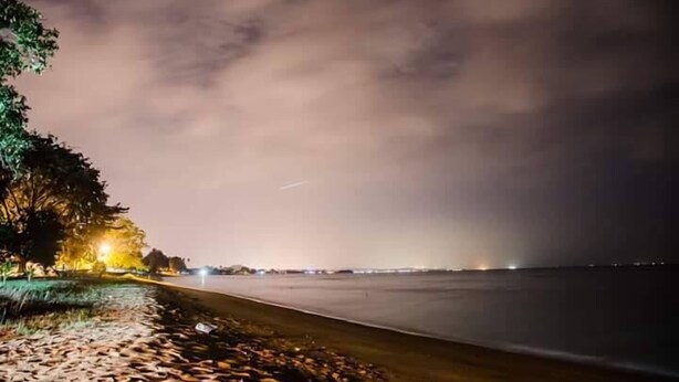En nattlig strandscen med ett lugnt hav, en väg som löper parallellt med stranden och ett träd som är dekorerat med upplysta lampor.