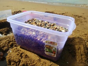 A plastic container filled with pebbles on a sandy beach.