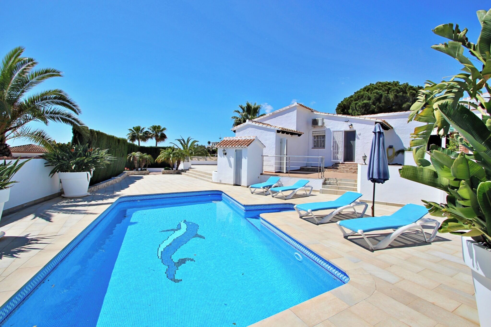 A swimming pool with a dolphin mosaic, lounge chairs, and palm trees.