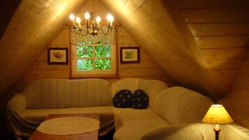 Télévision, cheminée, lecteur de DVD, table de tennis de table