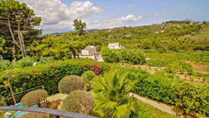 A lush garden with various plants and a white building in the background. - Nessa - well furnished villa with panoramic views in Benitachell (Benitachell)