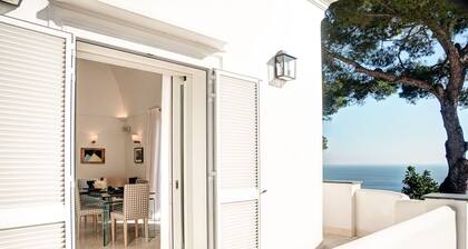 Villa Bougainvillea-Luxurious Villa located just minutes from LaPiazzetta
