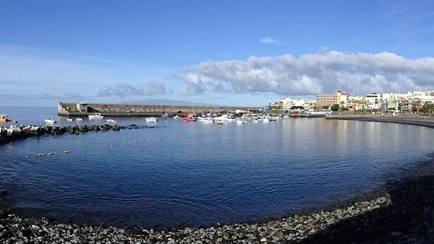En småbåtshamn vid kusten med båtar, en vågbrytare och byggnader i bakgrunden.