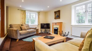 TV a schermo piatto, caminetto, lettore DVD