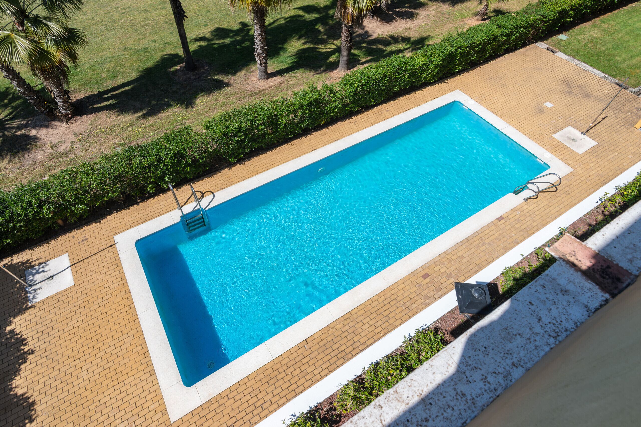 A rectangular swimming pool with a clear blue water surface, surrounded by a paved deck and bordered by a low hedge.