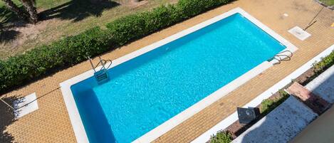 A rectangular swimming pool with a clear blue water surface, surrounded by a paved deck and bordered by a low hedge.