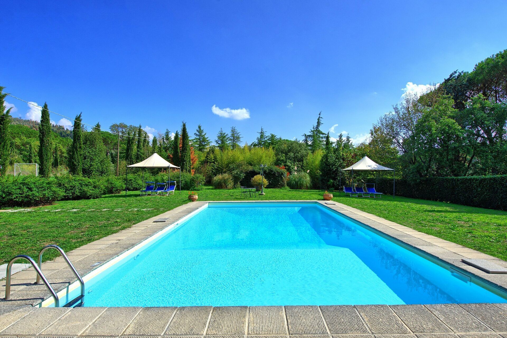 Una piscina rectangular con una superficie de agua azul cristalina, rodeada de césped cuidado y árboles.