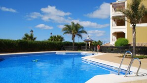 Una piscina con borde de azulejos, una palmera y un edificio con balcones al fondo.