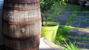 Une barrique en bois sur laquelle est inscrit « Trois-Rivières », placée à côté d’un bac à fleurs jaune contenant un petit arbre. On peut voir un panneau indiquant « SPOT DE SURF » sur le bâtiment au fond.
