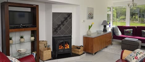 TV, fireplace