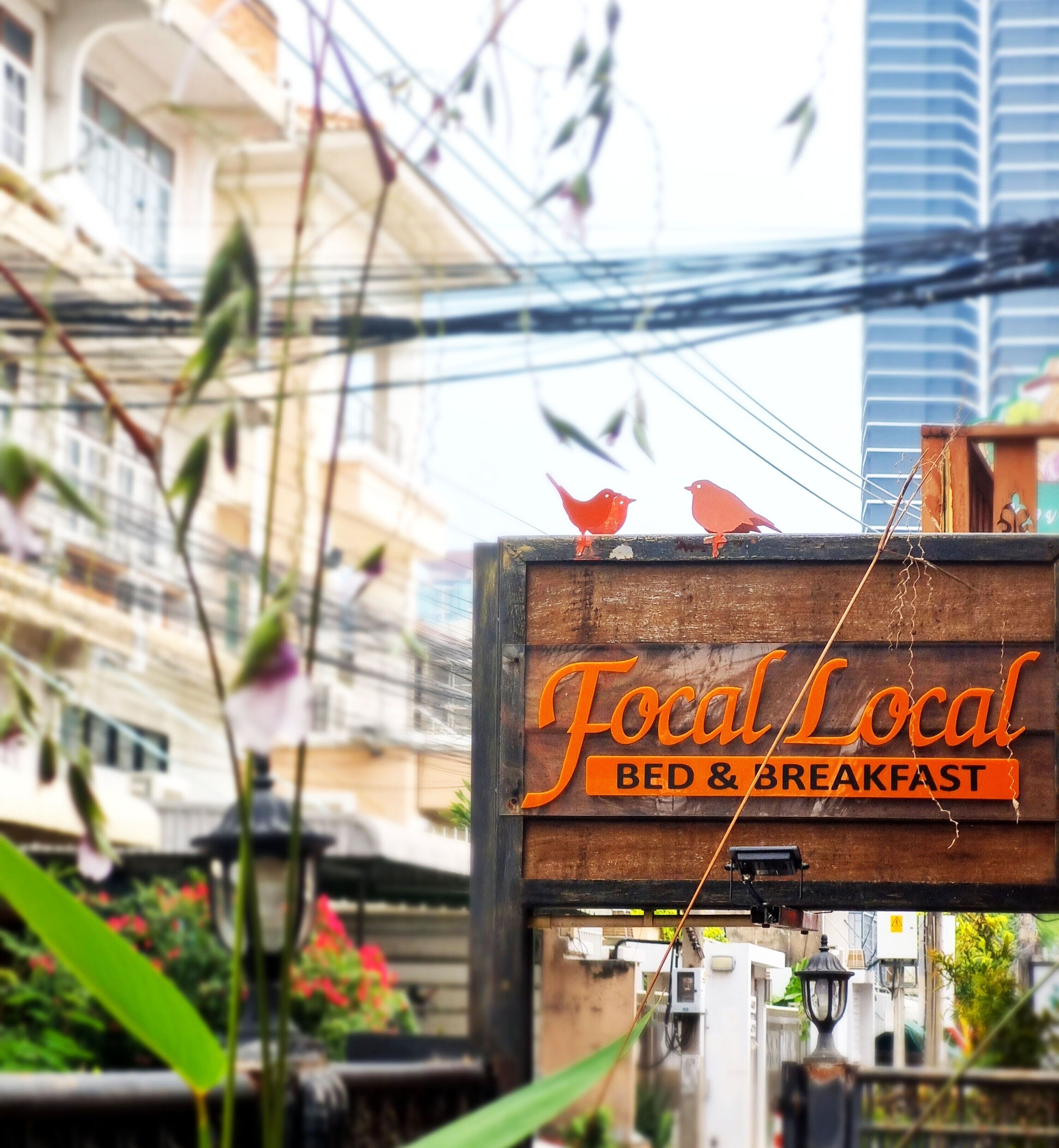 Photo - Focal Local Bed & Breakfast