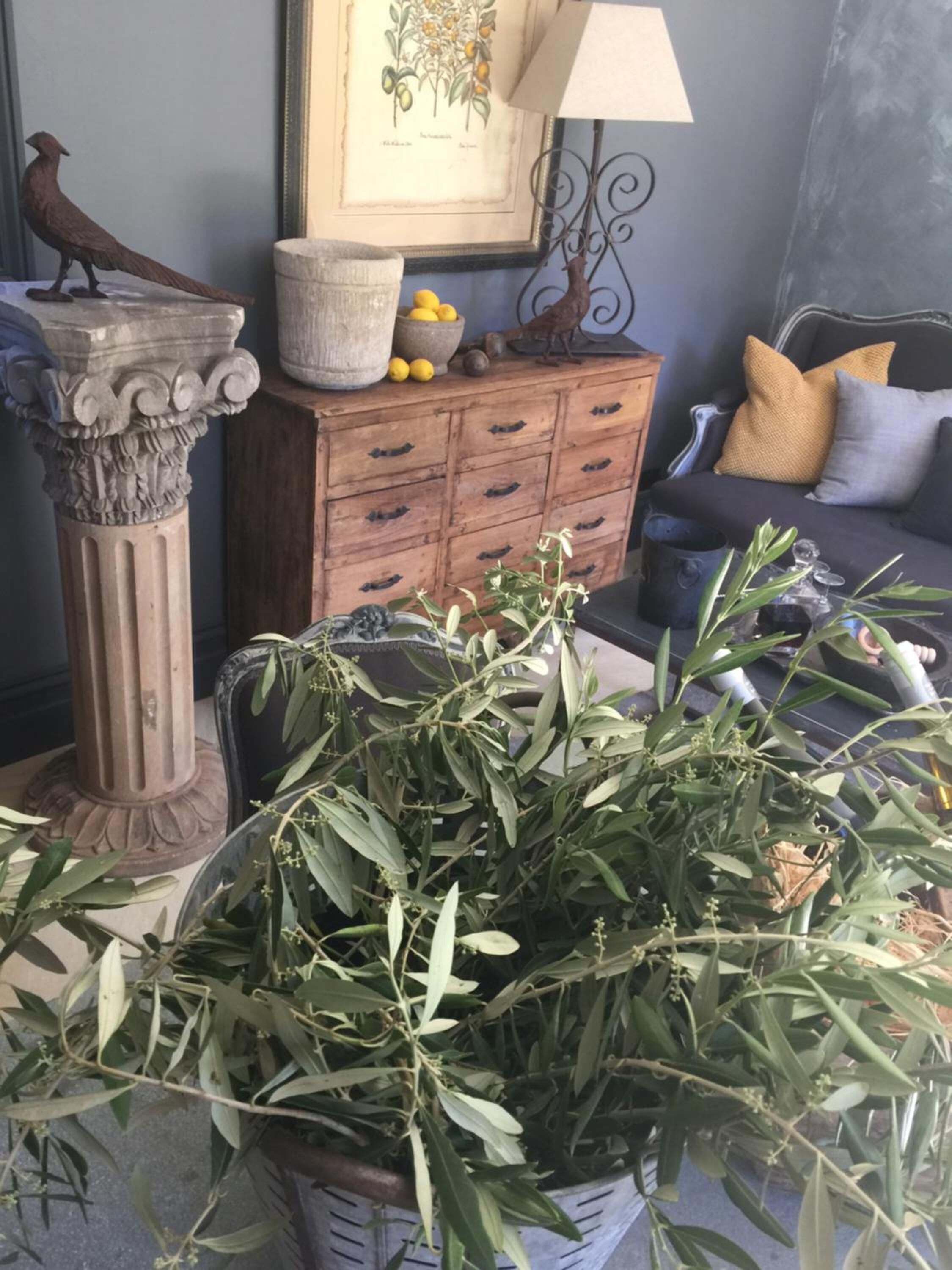 평면 TV, 넷플릭스, DVD 플레이어