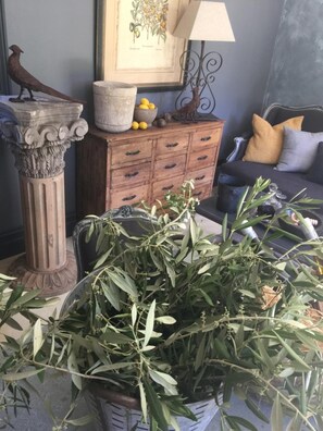 ทีวีจอแบน, Netflix, เครื่องเล่นดีวีดี