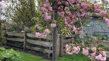 En have med et blomstrende træ, et træhegn og en bygning i baggrunden.