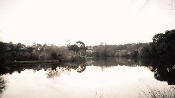 A calm lake with reflections of trees and a distant building.