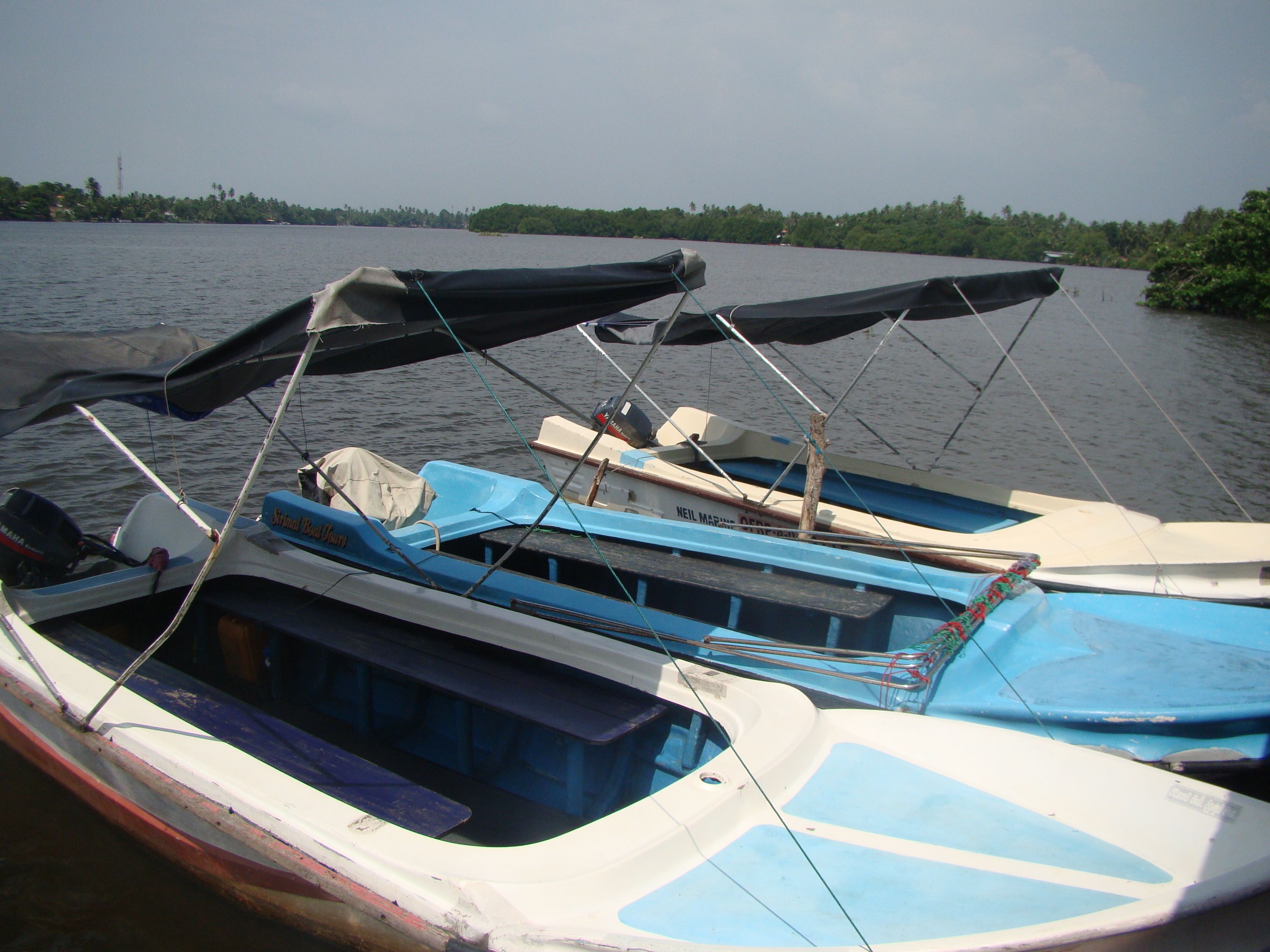 A row of boats docked at a pier with a calm water body and greenery in the background.