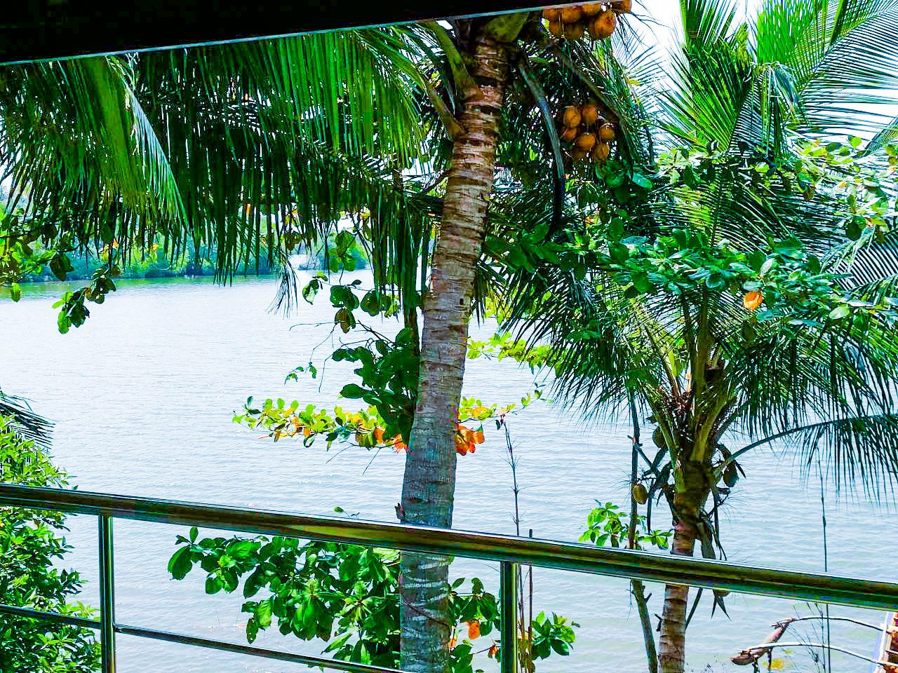 Vue depuis l’hébergement