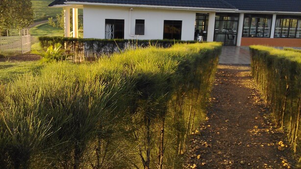 A modern house with a sloped roof, solar panels, and a paved driveway leading to the entrance. - The Crested Crane Bwindi (Kyesero)
