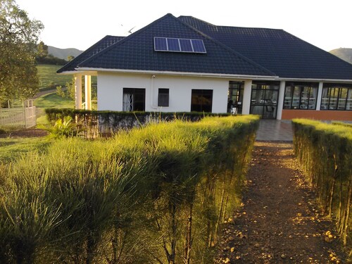 The Crested Crane Bwindi