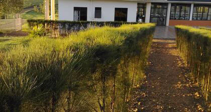 The Crested Crane Bwindi