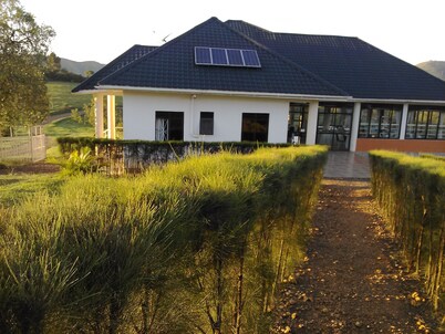 The Crested Crane Bwindi