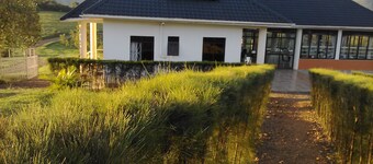 The Crested Crane Bwindi