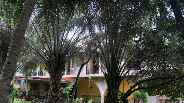 A courtyard with a stone wall, palm trees, and a building with a yellow facade and a stone archway. - Legassi Gardens Apartments (Kwabenya)