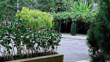 Taman