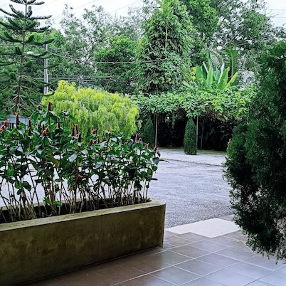 Villa 223
