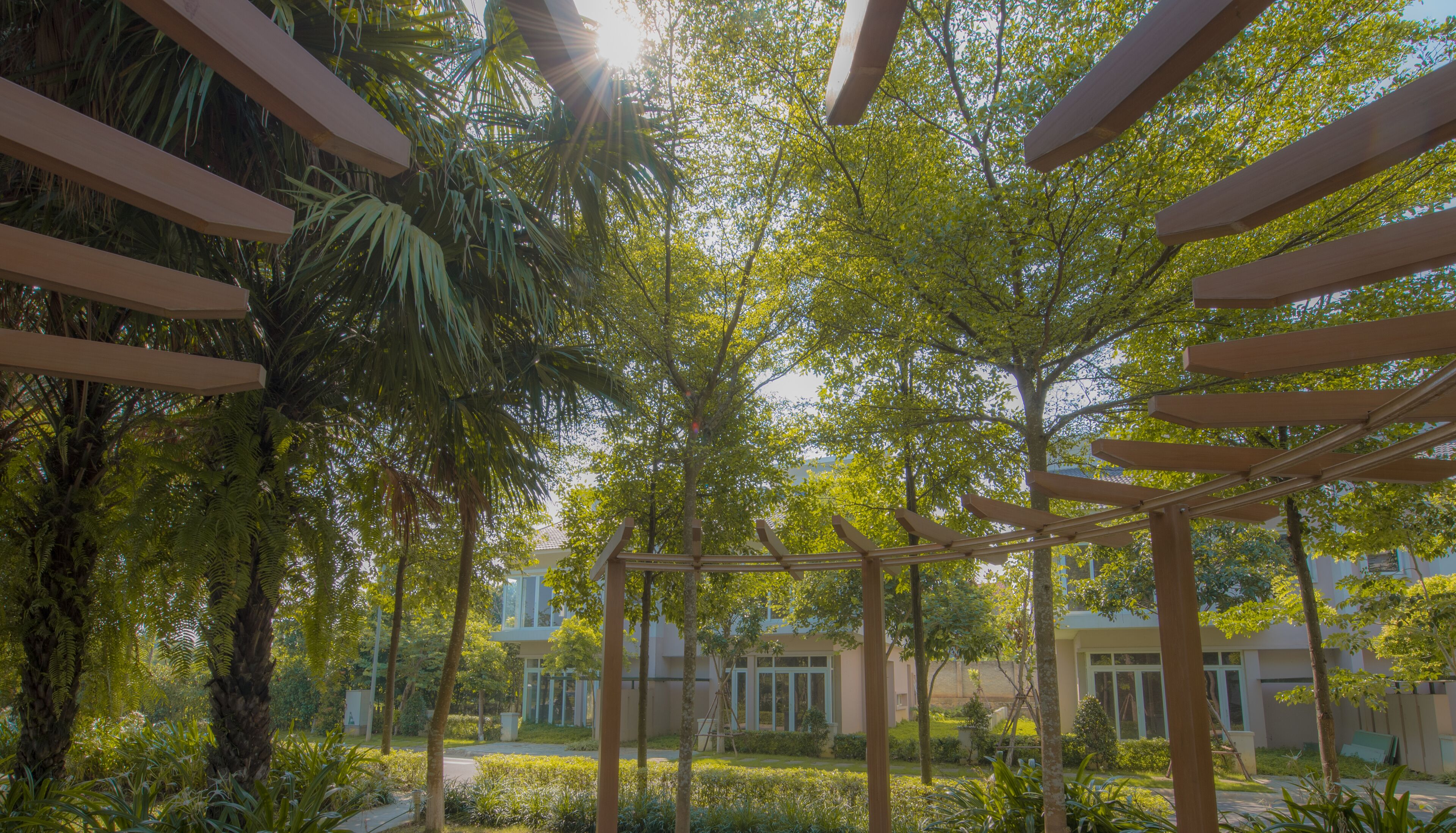 Khuôn viên nơi lưu trú