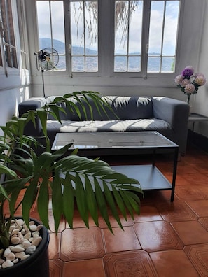 A living room with a sofa, a coffee table, and a potted plant. - Hospedaria Pôr do Sol (Funchal)