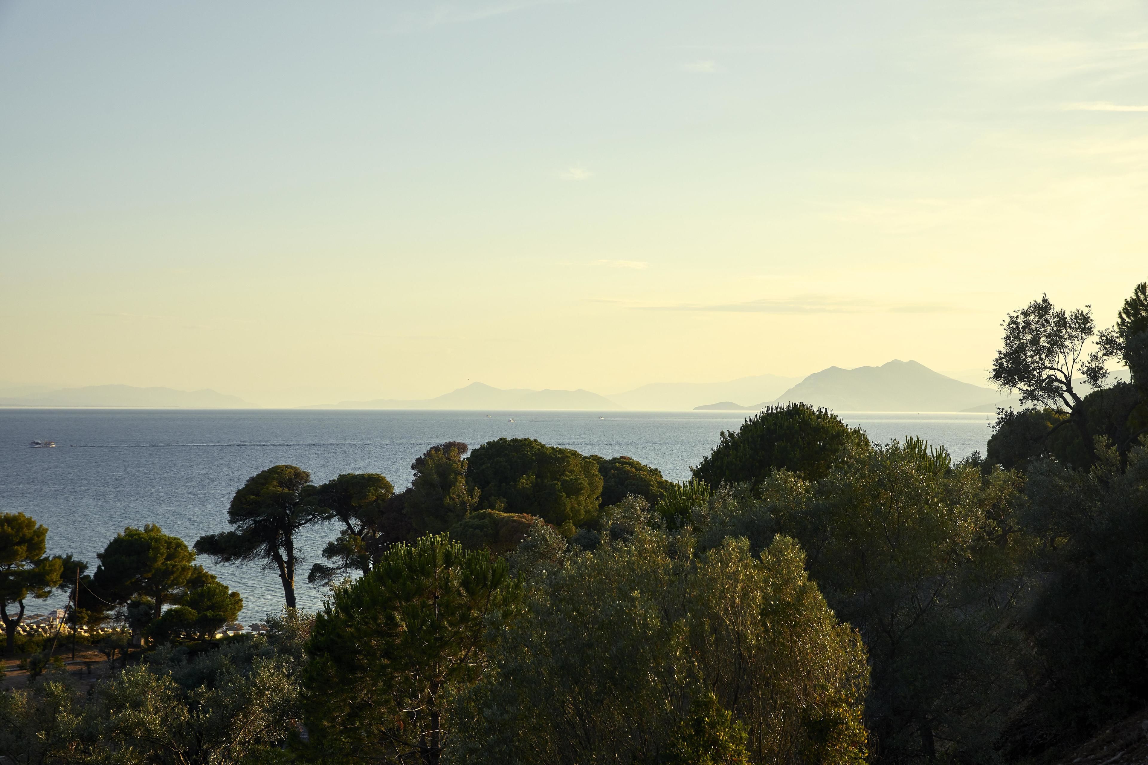 A coastal landscape with dense trees and a view of the sea and distant mountains.
