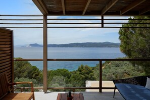 Vista desde la habitación