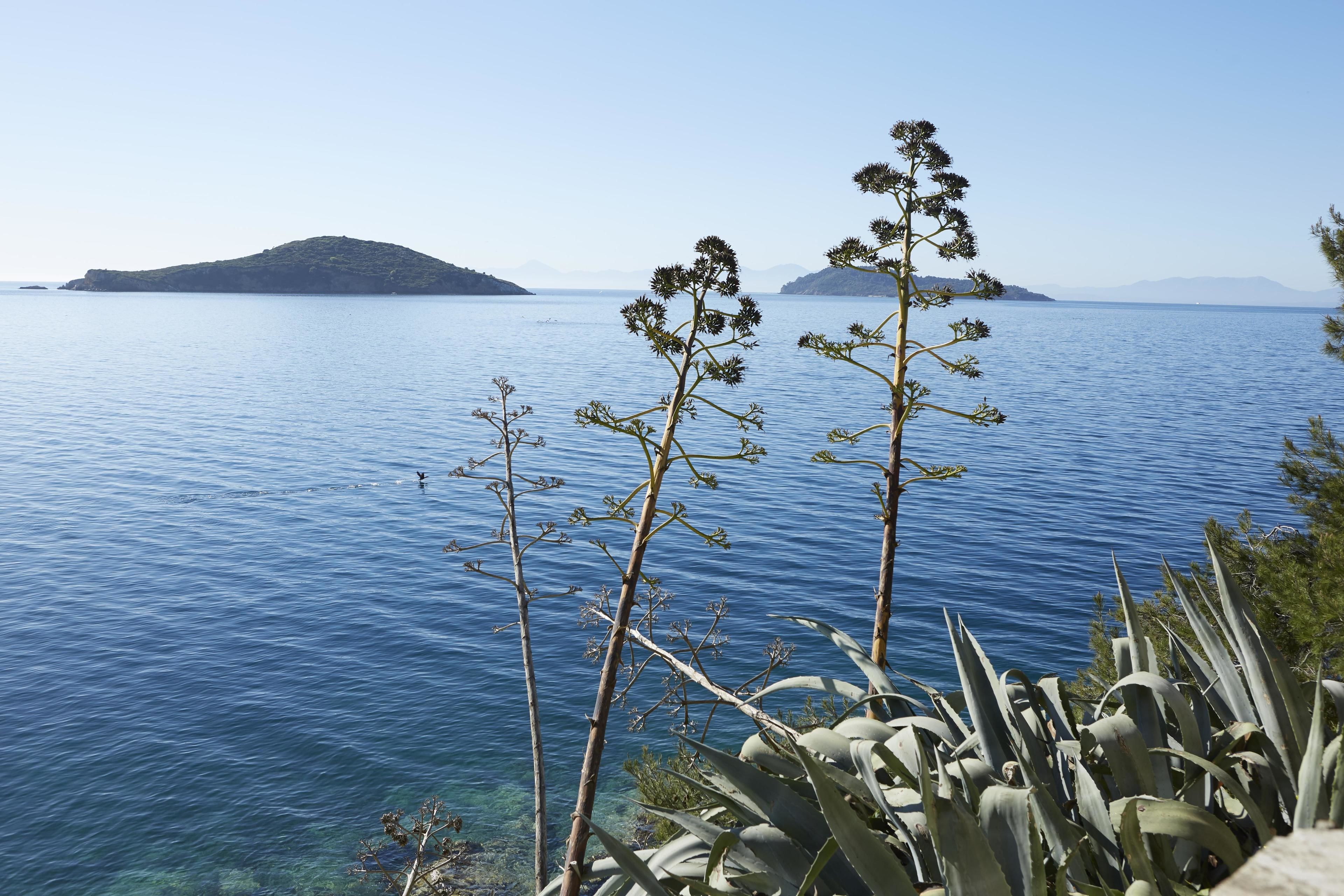 Foto - ELIVI Skiathos